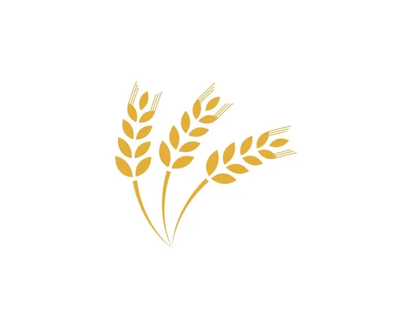 Agricultura trigo Logo Plantilla — Archivo Imágenes Vectoriales