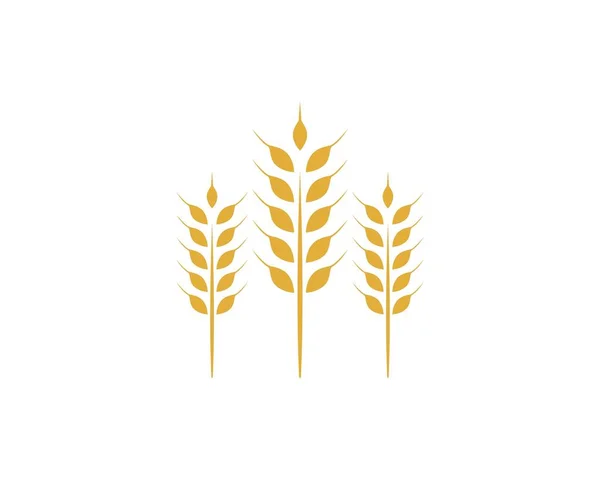 小麦農業のロゴのテンプレート — ストックベクタ