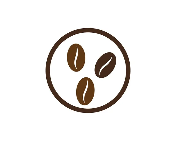 Vector koffiebonen sjabloon — Stockvector