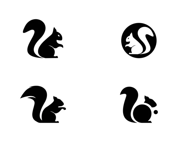 Squirrel logo vector — Stock Vector