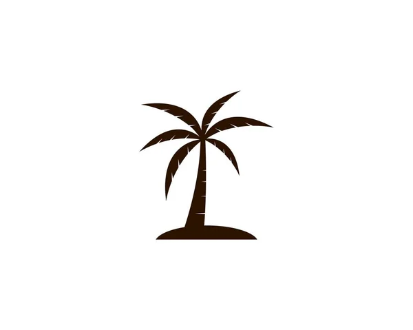 Coconut tree vector icon — Stock Vector