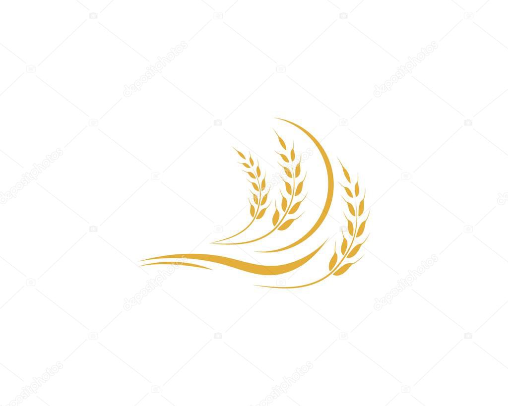 Agriculture wheat Logo Template