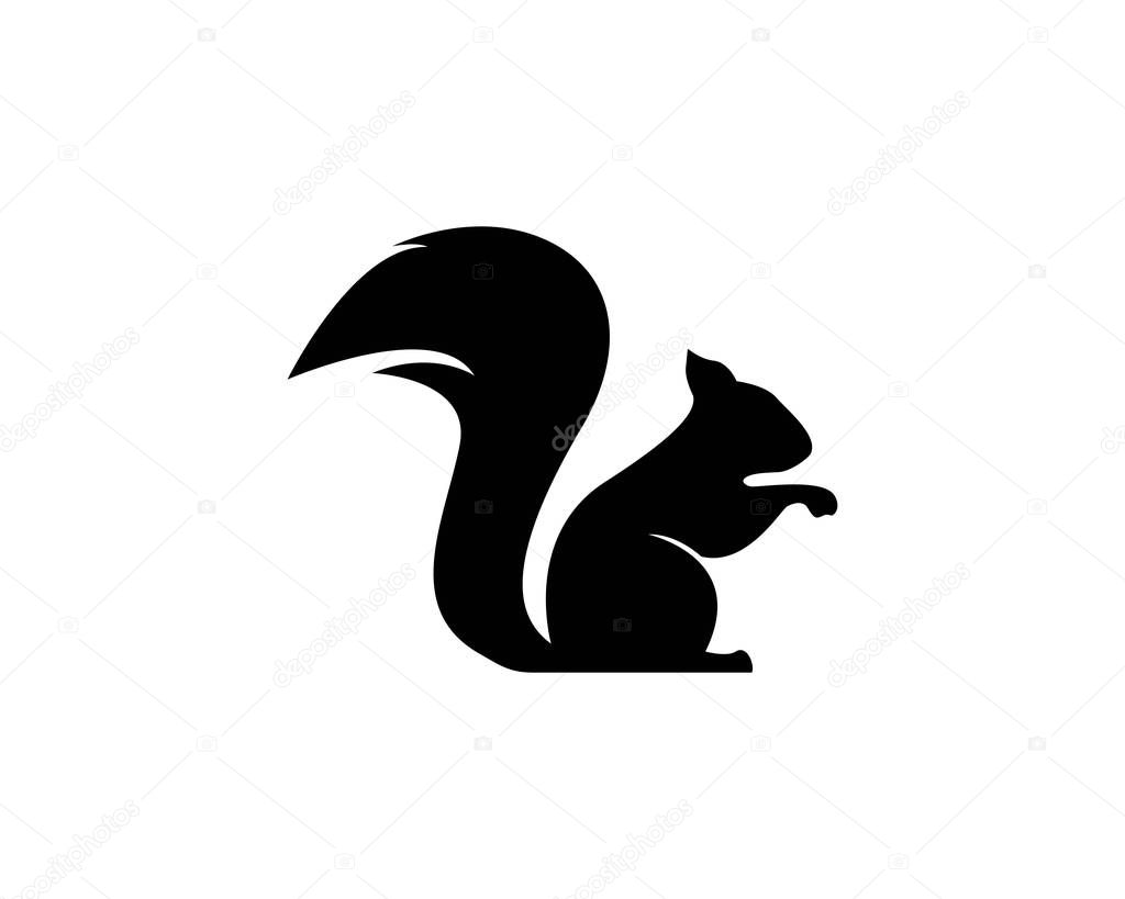 Squirrel logo vector icon illustration design