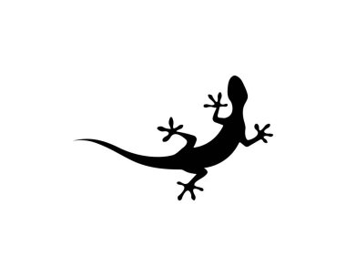 Kertenkele vektör çizim 