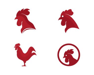 Horoz logo şablonu