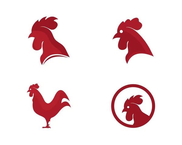 Modello logo del gallo — Vettoriale Stock