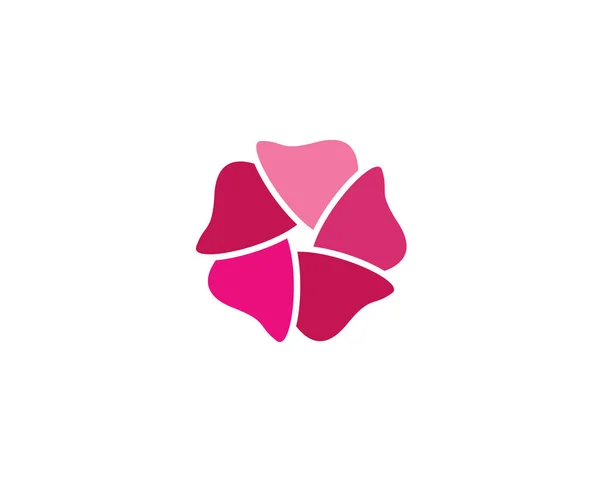 Plumeria flor icono vector ilustración diseño — Vector de stock