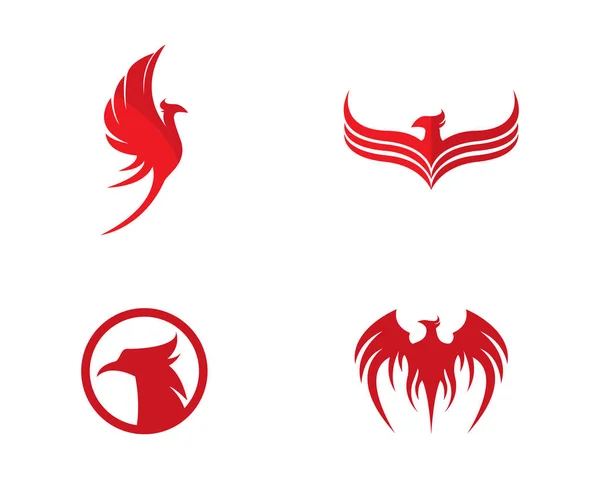 Conjuntos de Phoenix modelo de design de logotipo —  Vetores de Stock