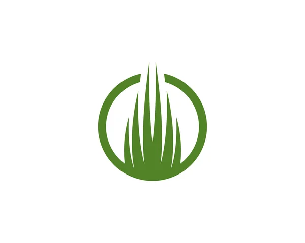 Szablon ikona ilustracja logo trawa wektor — Wektor stockowy