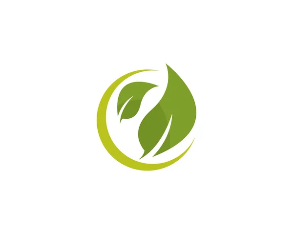 녹색 잎 생태 자연 요소 벡터 로고 — 스톡 벡터