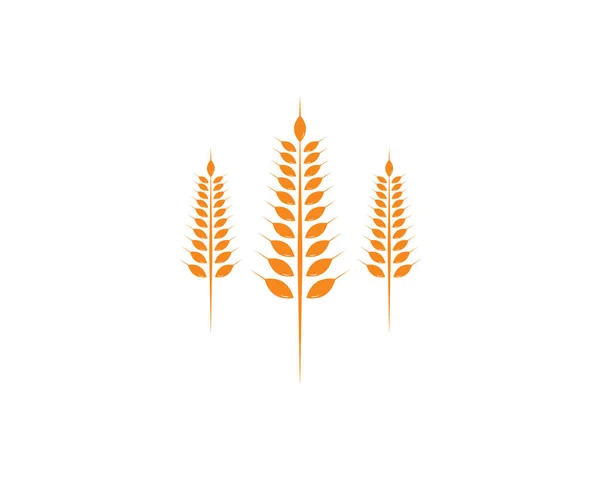 Agricultura trigo Logo Plantilla vector icono — Archivo Imágenes Vectoriales