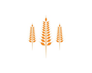 Tarım Buğdayı Logo Şablonu vektör simgesi