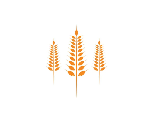 農業用小麦のロゴテンプレートのアイコン — ストックベクタ