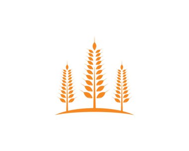 Tarım Buğdayı Logo Şablonu vektör simgesi