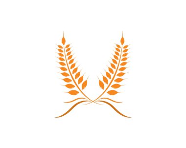 Tarım Buğdayı Logo Şablonu vektör simgesi
