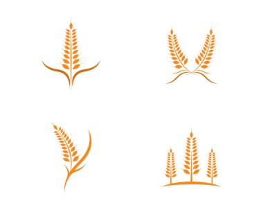Tarım Buğdayı Logo Şablonu vektör simgesi