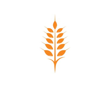 Tarım Buğdayı Logo Şablonu vektör simgesi
