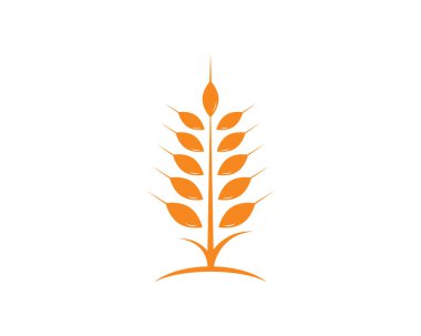 Tarım Buğdayı Logo Şablonu vektör simgesi