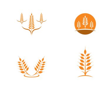 Tarım Buğdayı Logo Şablonu vektör simgesi