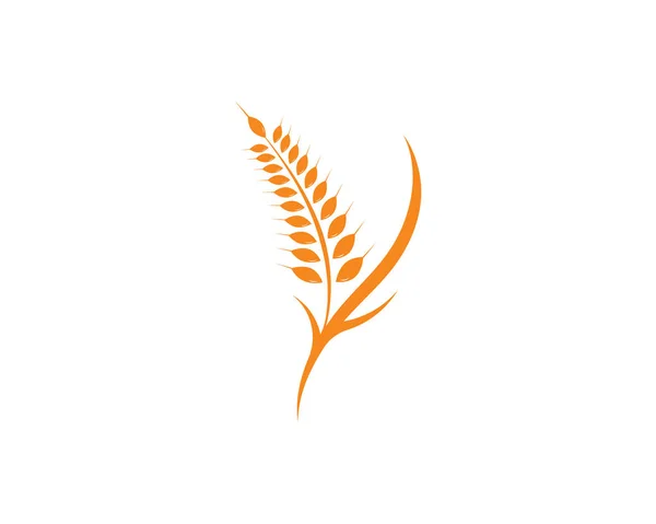 Agriculture wheat Logo Template vector icon — Stock Vector