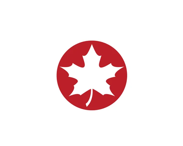 Maple Leaf logo typ mall vektor ikon Illustration — Stock vektor