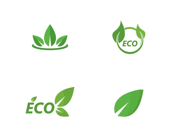 Logos von grünen Blättern Ökologie Natur Element Vektor — Stockvektor