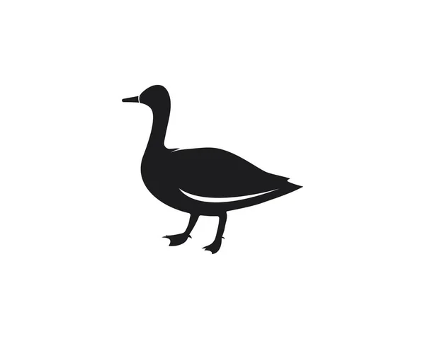 Ilustracja wektor szablonu Duck — Wektor stockowy