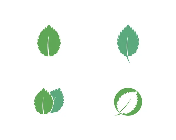 Illustration d'icône vectorielle feuille de menthe — Image vectorielle