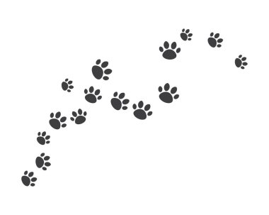 Paw arka plan şablonu