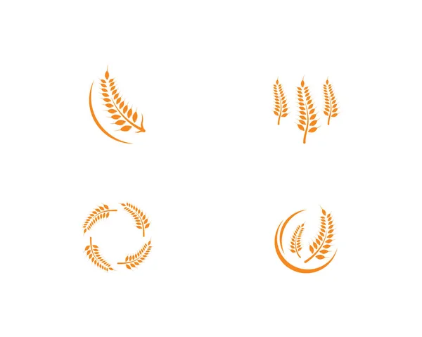 Agricultura trigo Logo Plantilla vector icono — Vector de stock