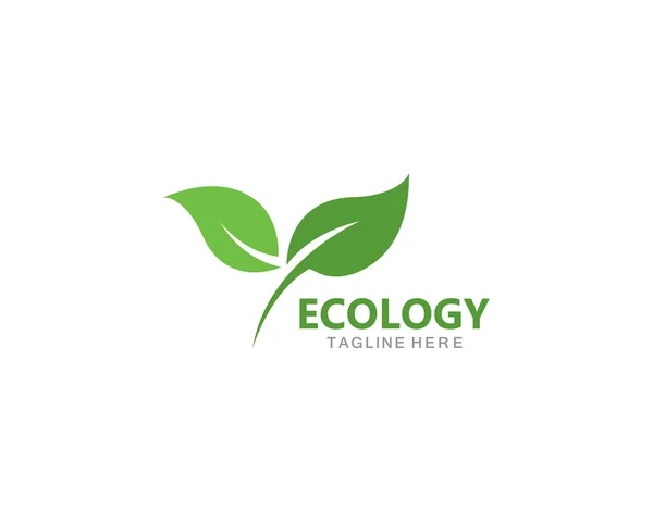 Logos of green leaf ecology nature element vector — Stock Vector