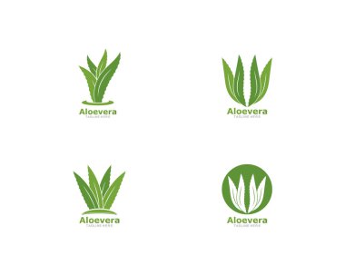Aloevera logo şablonvektör simgesi kümesi 