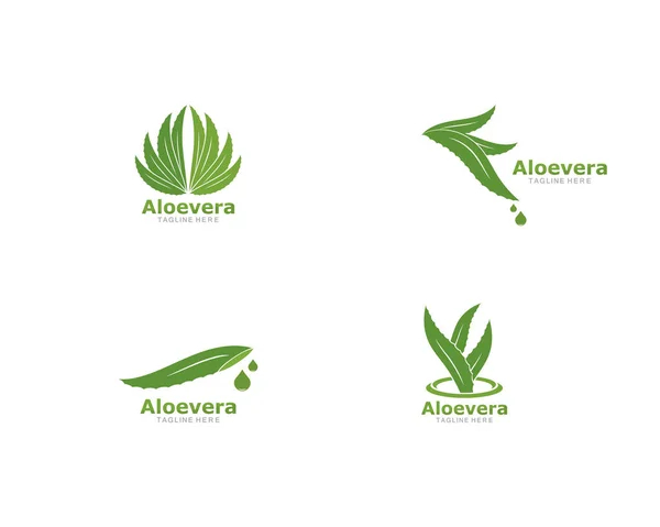 Aloevera logo şablonvektör simgesi kümesi 