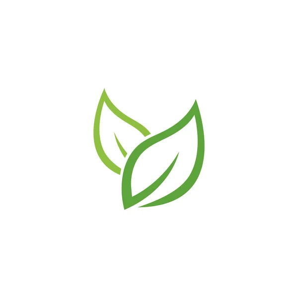 녹색 잎 생태학적 요소 벡터 — 스톡 벡터