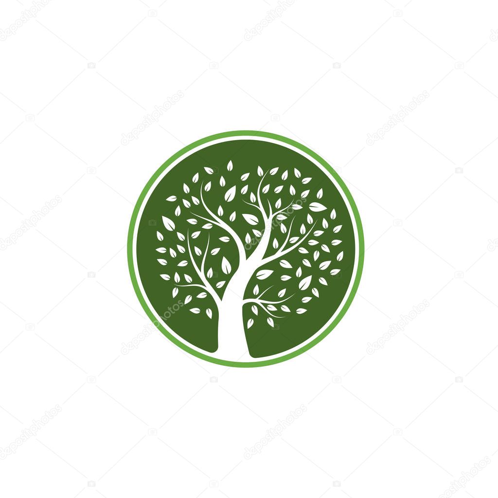 Tree icon logo template vector illustration design