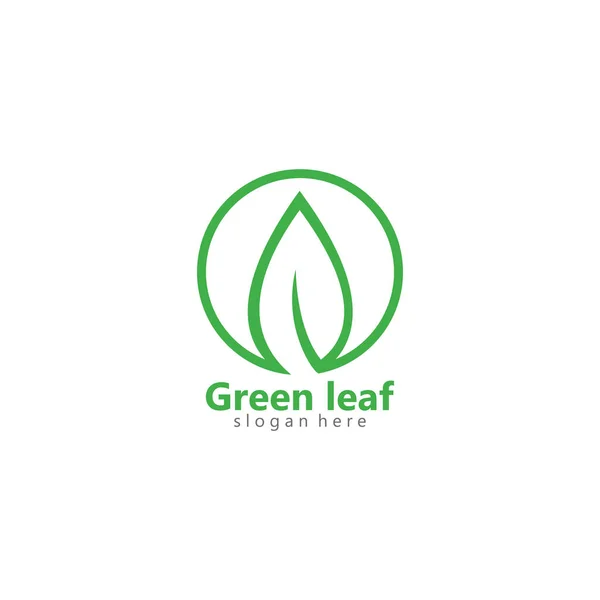 Иллюстрация векторного логотипа зеленого эко-листа — стоковый вектор
