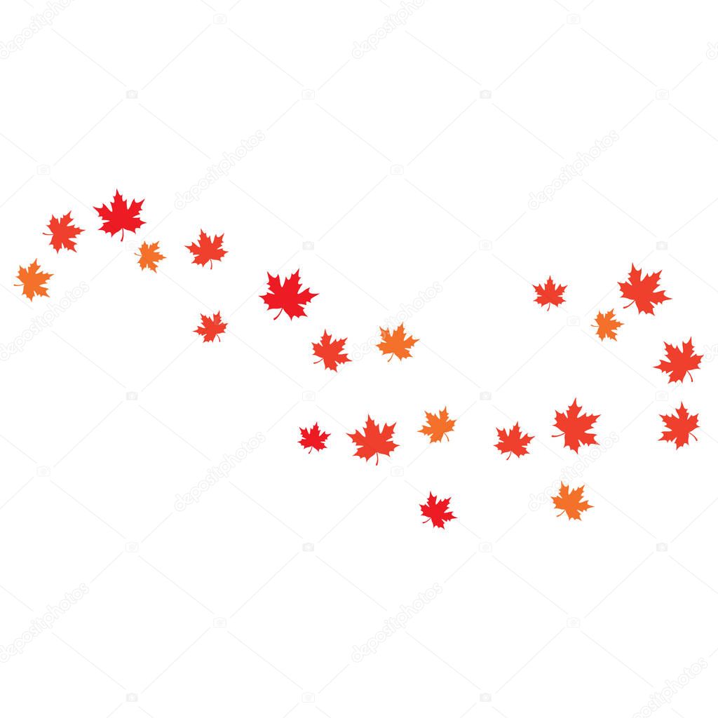 Maple leaf background vector illustration design