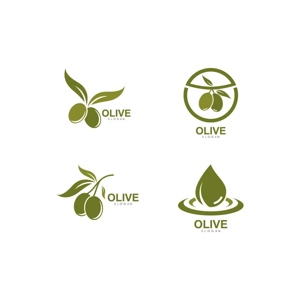 Набір логотипів Olive Векторні ілюстрації — стоковий вектор