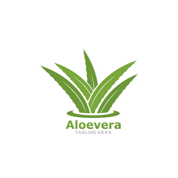Aloevera logo şablonvektör simgesi kümesi 