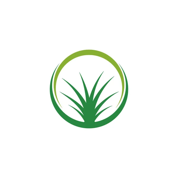 Szablon ikona ilustracja logo trawa wektor — Wektor stockowy