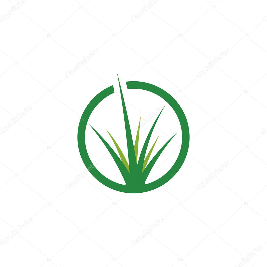 Grass logo template vector icon illustration design