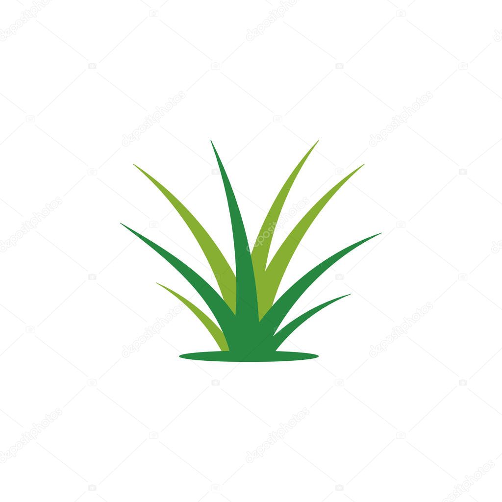 Grass logo template vector icon illustration 
