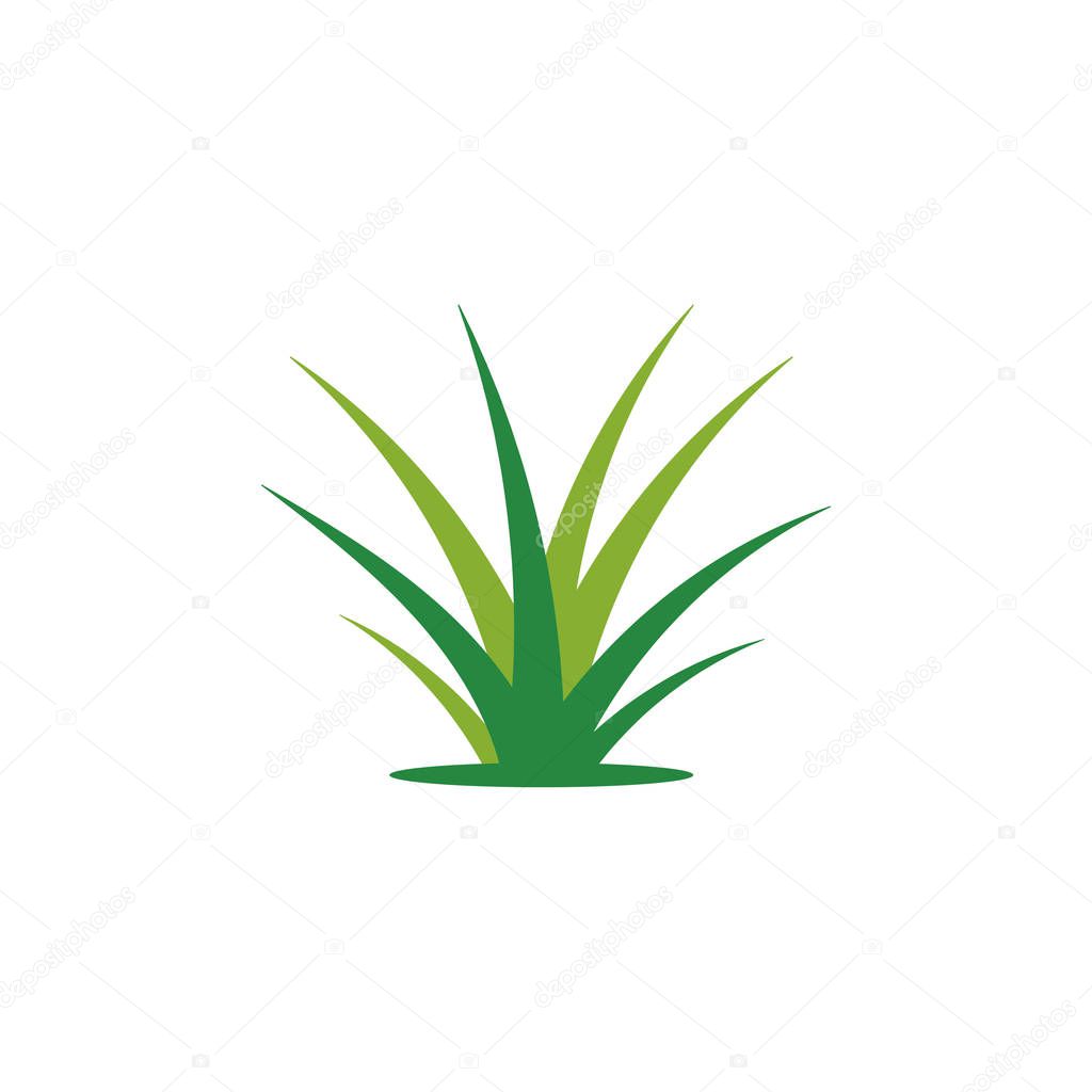 Grass logo template vector icon illustration design