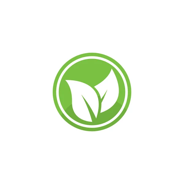 Templat Eco Tree Leaf Logo - Stok Vektor