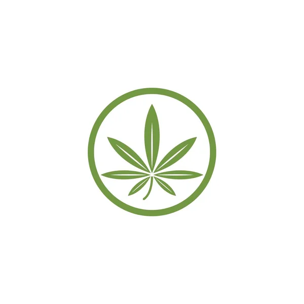 Canabis liść szablon ilustracja wektor ikona — Wektor stockowy