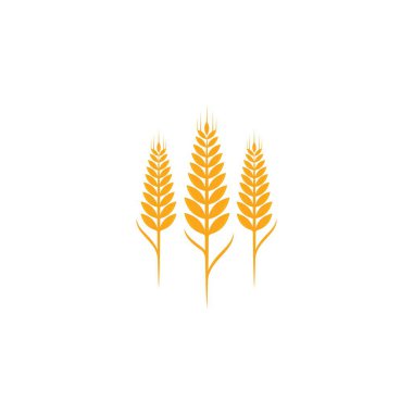 Tarım buğday logosu vektör ikonu tasarımı 