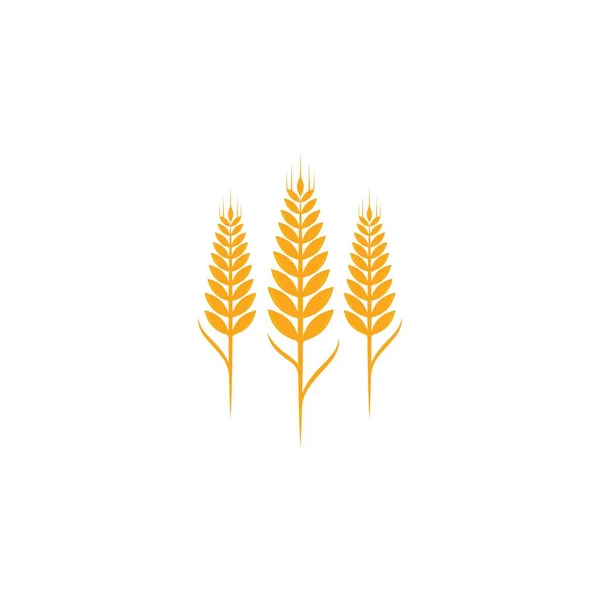 Agricultura Trigo Logotipo Plantilla Vector Icono Diseño — Archivo Imágenes Vectoriales