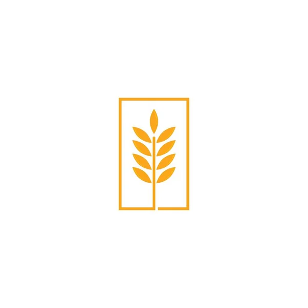 農業小麦のロゴテンプレートベクトルアイコンデザイン — ストックベクタ
