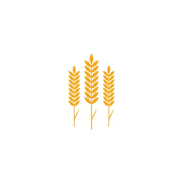 Modèle Logo Blé Agriculture Icône Vectorielle Design — Image vectorielle