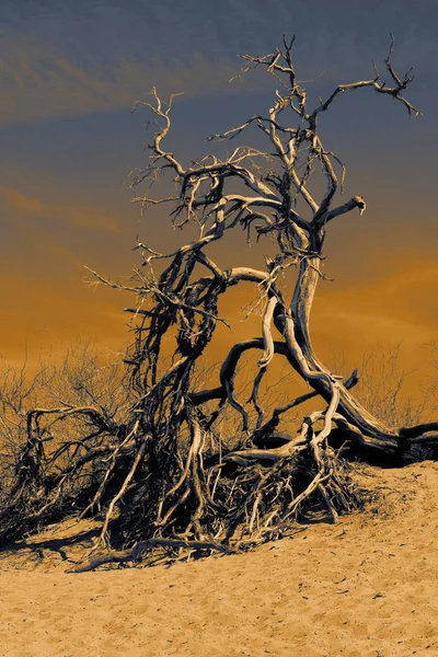 Sunset Parque Nacional Vale Morte Califórnia — Fotografia de Stock